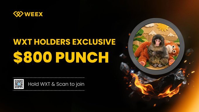 WEEX WXT Holders Community