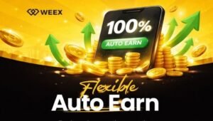 WEEX Auto Earn