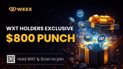 WEEX WXT Holders Community