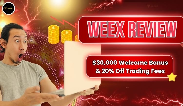 Weex Review
